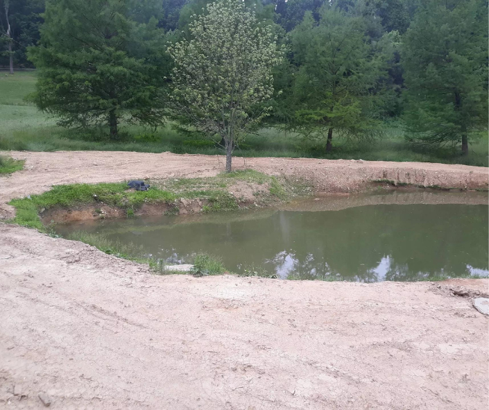 a pond excavation project