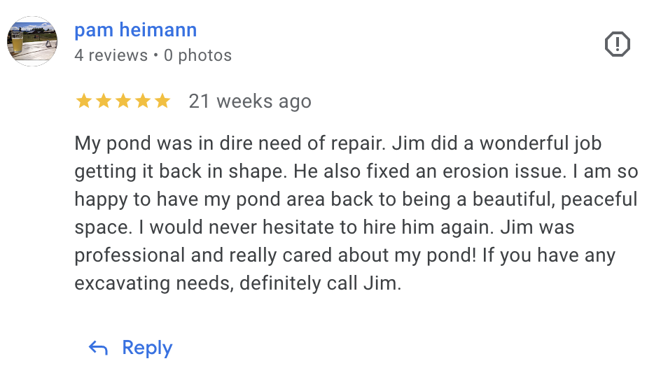 google review