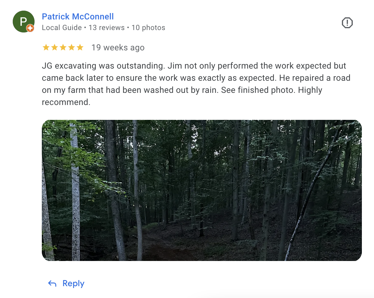 google review
